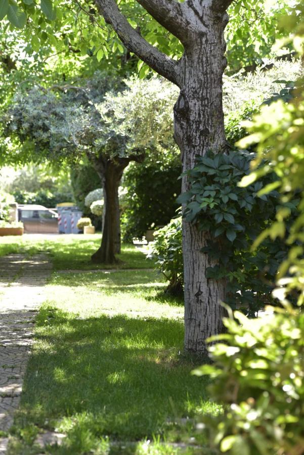 Residence Ranieri カスティリオーネ・デル・ラーゴ エクステリア 写真